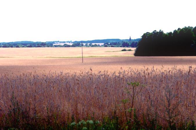 20090727Baerwalde057Ab