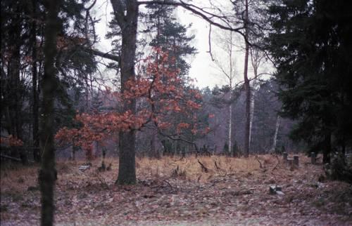 Friedhof033ABk